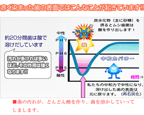 お口の中の細菌