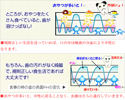 お口の中の細菌