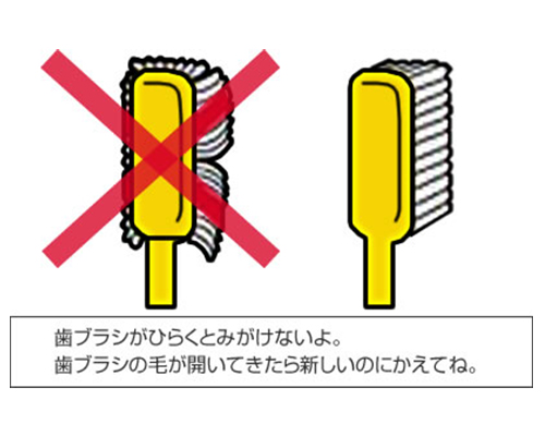 集合